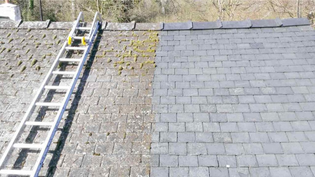 Roof Cleaning Services,