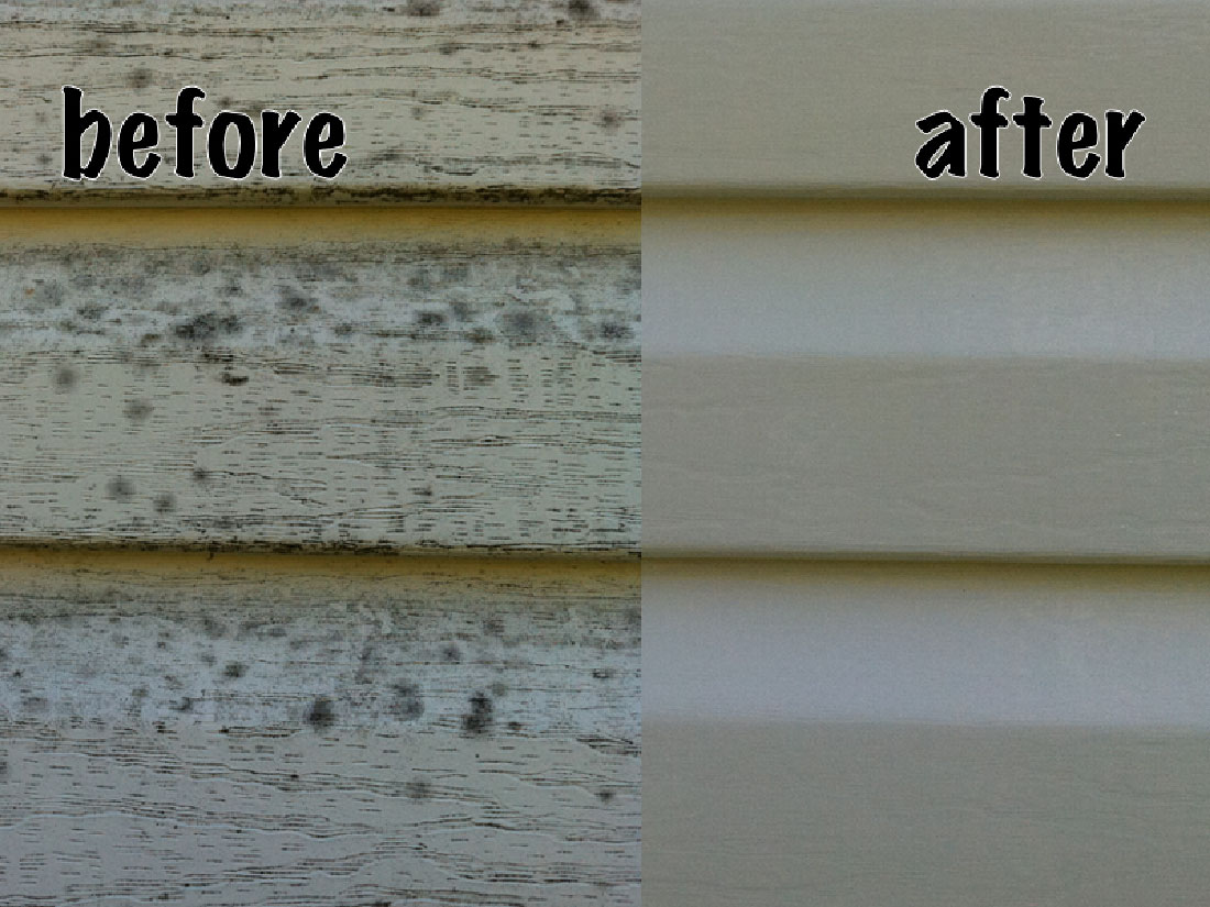 siding-before